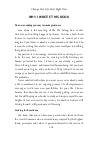 Extract 3